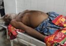 ବଜ୍ରପାତରେ ମେଣ୍ଢା ଚରାଳିର ମୃତ୍ୟୁ