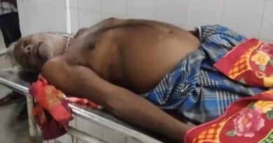 ବଜ୍ରପାତରେ ମେଣ୍ଢା ଚରାଳିର ମୃତ୍ୟୁ