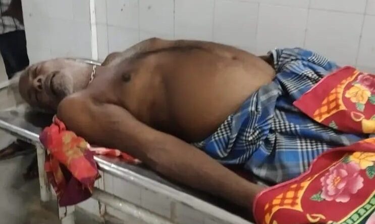 ବଜ୍ରପାତରେ ମେଣ୍ଢା ଚରାଳିର ମୃତ୍ୟୁ